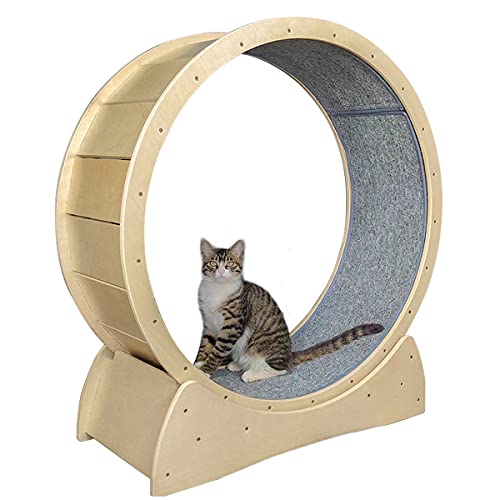 QNMM Gato Rueda de Ardilla, Gato Grande del Rodillo Juguete Ejercicio Ejercicio, Bajo Nivel de Ruido, Intercambiable Manta Adecuado para Gatos de 1-7.5kg