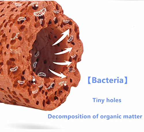 QUCHENG Anillos de cerámica para Acuario, filtros de Bio, Anillos de cerámica Premium para Todos los Tipos de peceras y estanques, 1000 g (10 en 1 combinacion)