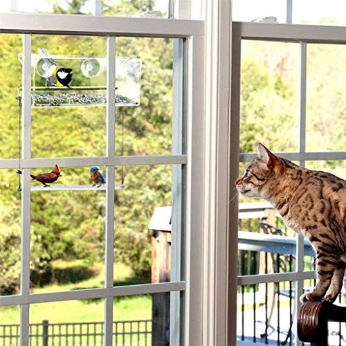 QWEQTYU Comedero para pájaros con Ventana, acrílico Transparente, Bandeja con Ventosa Fuerte, Colgante para jardín al Aire Libre, para observar y Agregar Alimentos, comedero útil