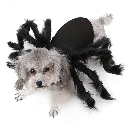 QYHSS Disfraz de ArañA para Mascotas, Ropa Felpa SimulacióN de Mascotas Halloween, Arañas Felpa SimulacióN Terror, Disfraces Fiesta, Hebilla de Pasta Ajustable, para Perros, Gatos