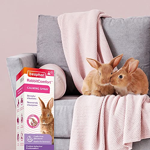 RabbitComfort Spray calmante