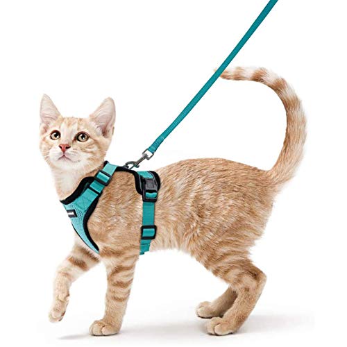 rabbitgoo Arnes Gato Antiescape,Arnés para Gato con Correa 150cm Arnes Gato Ajustable con Reflectantes de Tela de Malla Suave y Transpirable para Caminar,Entrenar,Gato Mediano y Pequeño S Verde