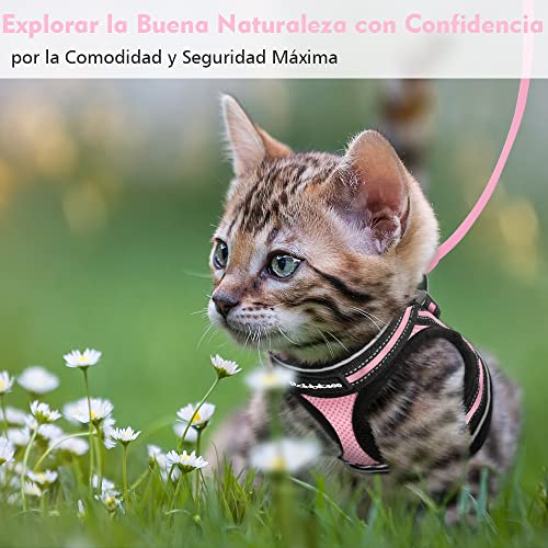 rabbitgoo Arnes Gatos y Correa 150cm Chaleco Ajustable Antitirones Reflectante Cómodo Correa Mágica para Fácil de Poner y Quitar para Paseo Diario Arnes para Perro Pequeño Conejos Gatos M Rosado