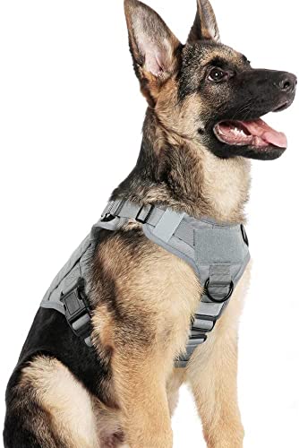 rabbitgoo Arnes Perro Grande No-Pull Arnes Perro Antitirones Técnica de Malla Transpirable Chaleco para Entrenamiento con 2 Anillos Ajustable con Técnica Molle para Entrenar Caminar Cazar Gris L