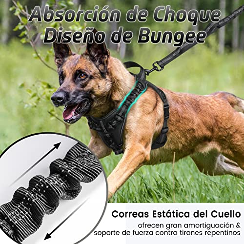 rabbitgoo Arnes Perros Arnés Chaleco Antitirones para Perros Grandes y Medianos con Correas Elásticas para Absorber Golpes Ajustable para Caminar con Asa de Fácil Control Reflectante, Negro XL