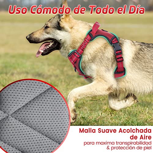 rabbitgoo Arnes Perros Arnés Chaleco Antitirones para Perros Grandes y Medianos con Correas Elásticas para Absorber Golpes Ajustable para Caminar con Asa de Fácil Control Reflectante, Rojo M