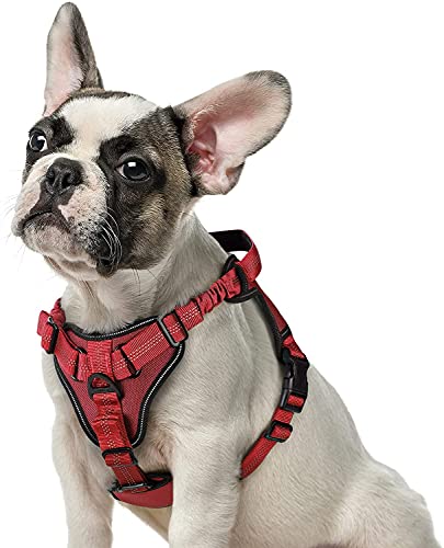 rabbitgoo Arnes Perros Arnés Chaleco Antitirones para Perros Grandes y Medianos con Correas Elásticas para Absorber Golpes Ajustable para Caminar con Asa de Fácil Control Reflectante, Rojo M