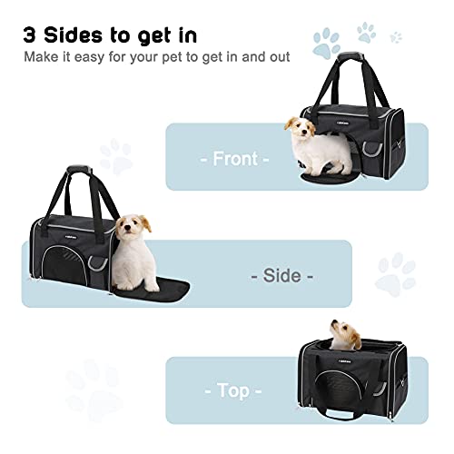 rabbitgoo Transportin Gato Perro Transportín Lavable Plegable Bolsa Transportin Transpirable con Colchón Suave Portador de Viaje con Correa de Hombro Ajustable 42x27x27cm Negra (Máximo 6kg)