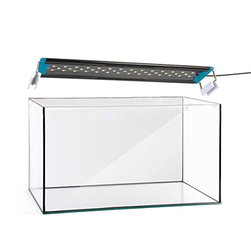 RADYS Acuario PECERA URNA 60L SIN Marco con Pantalla LED