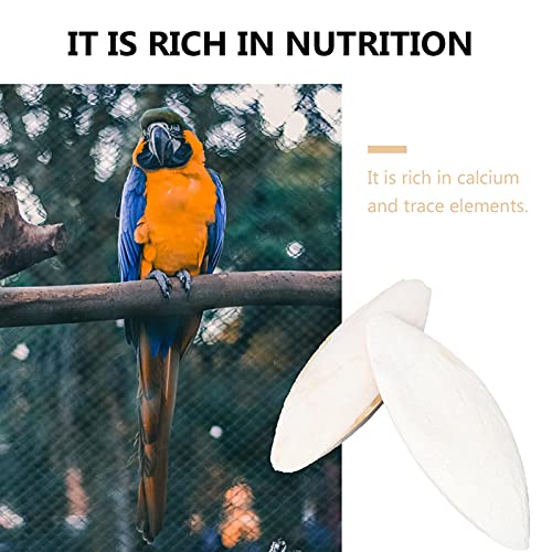 Ranana Calcio Natural para Aves, Loro, Pico Afilado, Uso de Juguetes para Masticar, para Masticar, jibias, Periquito/Guacamayo, suplemento de Calcio fácilmente absorbible (10 cm, 10 Piezas)