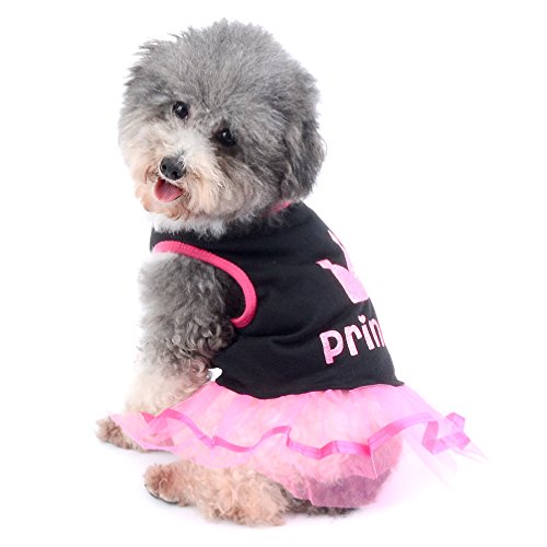 Ranphy Falda pequeña para Perro, Gato, Chihuahua, Ropa para niñas, Vestido de Princesa Corona para Cachorro, Verano, Rosa y Blanco