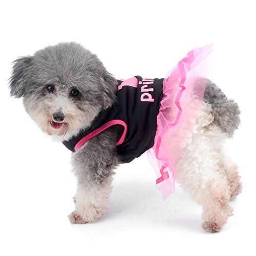 Ranphy Falda pequeña para Perro, Gato, Chihuahua, Ropa para niñas, Vestido de Princesa Corona para Cachorro, Verano, Rosa y Blanco