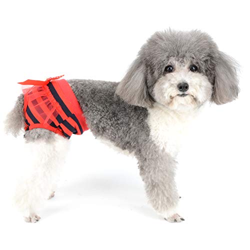 Ranphy Pañales lavables con lazo y nudo para cachorro, ropa interior para chihuahua, peluche, bichón, frisé, caniche, rojo, L