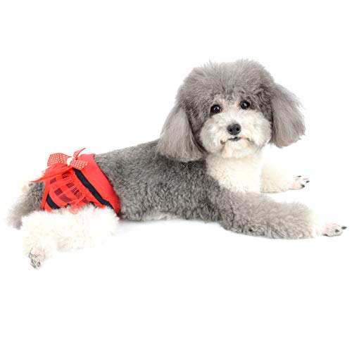 Ranphy Pañales lavables con lazo y nudo para cachorro, ropa interior para chihuahua, peluche, bichón, frisé, caniche, rojo, L