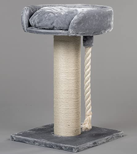 Rascador para gatos grandes Chartreux Gris claro arbol xxl maine coon gato gigante sisal muebles sofa casa escalador casita escalador torre Árboles rascadores cama cueva repuesto medianos