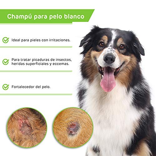 Rc ocio Champu Perros Aloe Vera Natural Piel Sensible atopica champú para Combatir la Dermatitis, picores, picor, picaduras de Insectos. para Pelo Blanco, Negro y Marron/Shampoo Uso frecuente