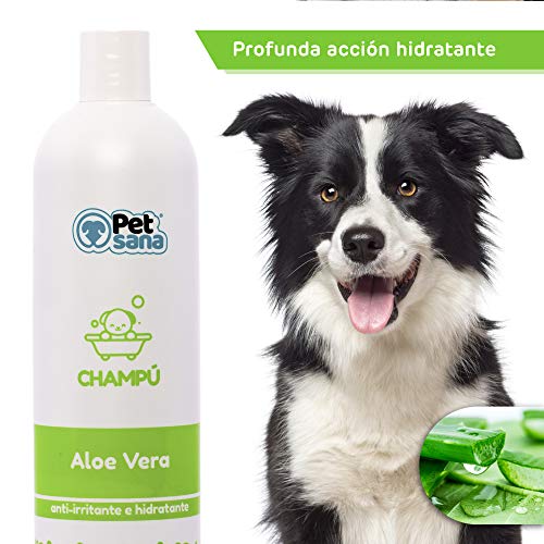 Rc ocio Champu Perros Aloe Vera Natural Piel Sensible atopica champú para Combatir la Dermatitis, picores, picor, picaduras de Insectos. para Pelo Blanco, Negro y Marron/Shampoo Uso frecuente