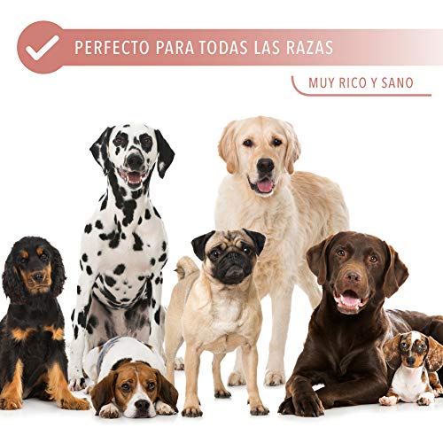 Rc Ocio Chuches para Perros sin Cereales Pack 3 Bolsa de premios Snacks Naturales sin conservantes ni colorantes golosinas Snack Premium para Perro Grandes, pequeños, y Cachorros/Galletas