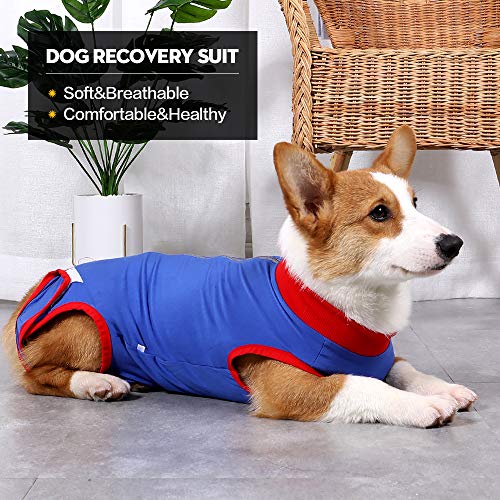 Recuperación de perro traje quirúrgico Camisa de recuperación para, cuello en forma de cono alternativo para mascotas traje quirúrgico postoperatorio heridas abdominales para evitar lamer(Azul,s)