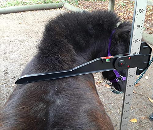 Reitsport Amesbichler Bastón de medición para caballos, para caballos pequeños de hasta 100 cm, con nivel de burbuja de aluminio