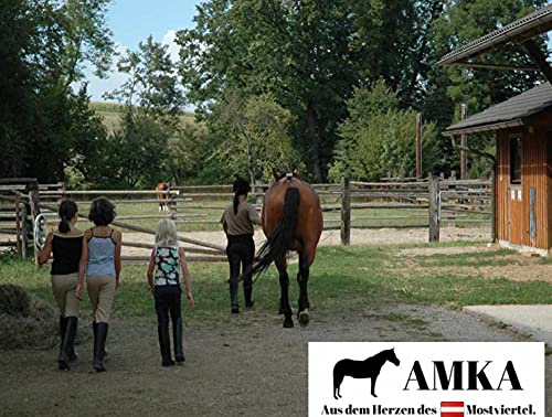 Reitsport Amesbichler Bastón de medición para caballos, para caballos pequeños de hasta 100 cm, con nivel de burbuja de aluminio