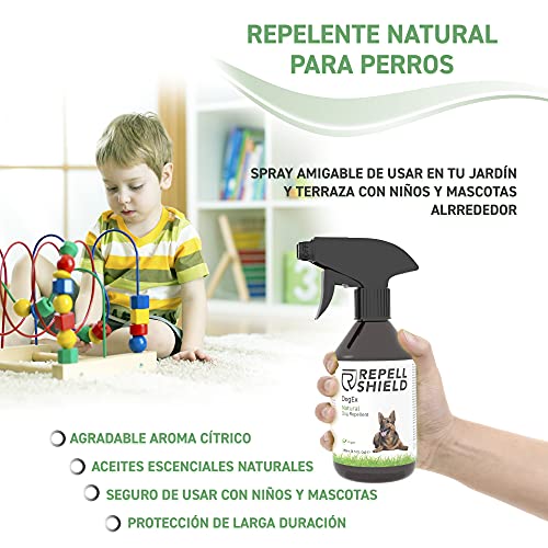 RepellShield Spray Repelente para Perros - Ahuyentador de Perros Natural - Spray Antimordeduras Perros para Exteriores e Interiores, Eficacia Duradera - Pipi Stop con Fragancia de Hierbabuena, 250ml