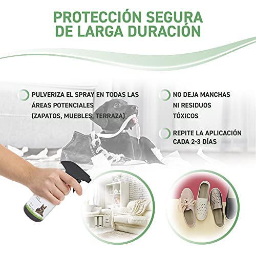 RepellShield Spray Repelente para Perros - Ahuyentador de Perros Natural - Spray Antimordeduras Perros para Exteriores e Interiores, Eficacia Duradera - Pipi Stop con Fragancia de Hierbabuena, 250ml