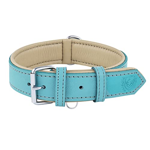 Riparo - Collar ajustable K-9 de piel auténtica acolchada para perro (longitud: 3,8 cm de ancho para cuello de 45,7 a 53,3 cm, color aguamarina)