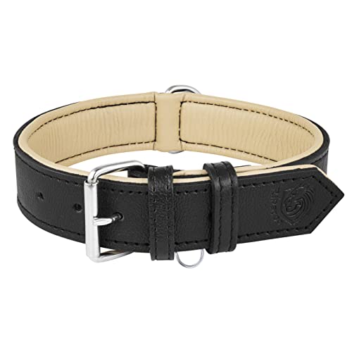 Riparo Collar de perro acolchado de cuero genuino Collar de mascota ajustable K-9 fuerte (M: 2,5cm de ancho para cuello de 36,8cm - 44,5cm, Negro)