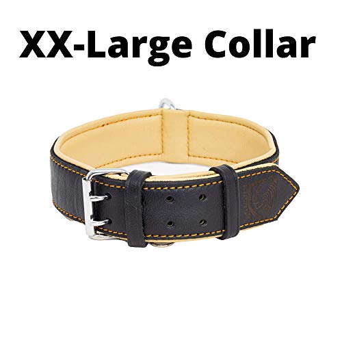 Riparo Collar de perro acolchado de cuero genuino Collar de mascota ajustable K-9 fuerte (S: 1,9cm de ancho para cuello de 28cm - 34,3cm, Hilo Negro/Naranja)