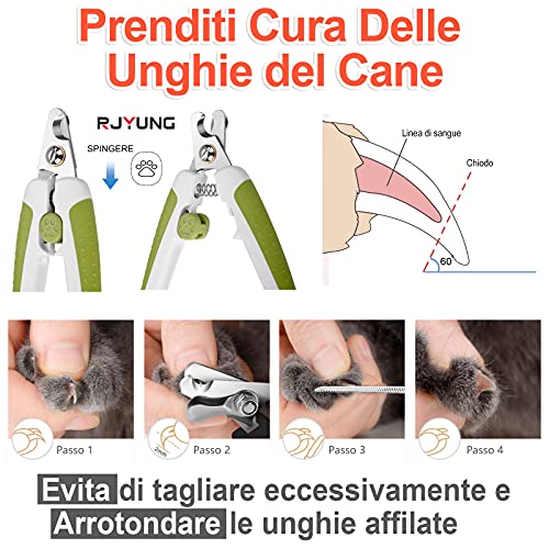 RJYUNG Cortauñas para Perros con para pequeños y medianos Animales domésticos Claw Clippers Trimmers para Proteger al Perro de Forma Segura y cómoda con Herramientas de deshedding y Dematting Tool