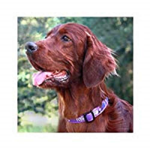 Rogz Armed Response - Collar para Disfraz, diseño de Bosque Morado, Talla XL