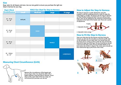 Rogz Utilidad pequeña 3/8-inch NITELIFE Reflectante Ajustable Perro Step-in-Harness