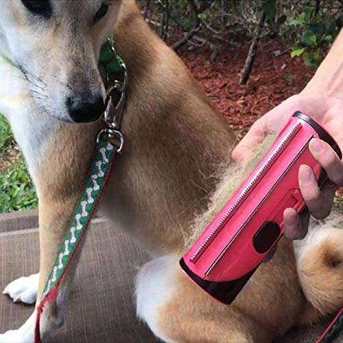 Rollo para depiladores de animales, cepillo para perros y cepillo para gatos | Efecto de masaje y protección capilar superior | Use un cepillo de pelo para eliminar el pelo de perros, gatos y otros an