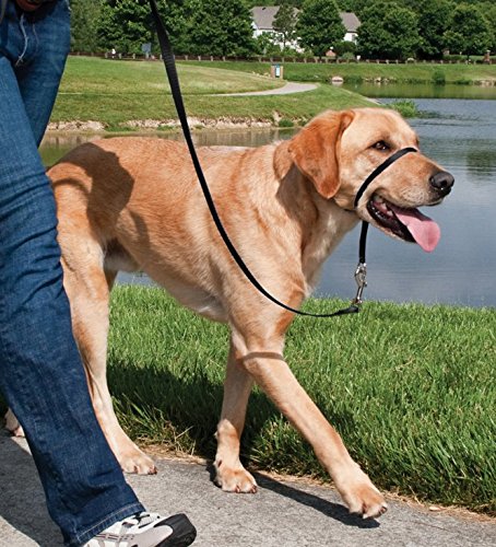 Ronzal Easy Walk de PetSafe, grande, negro