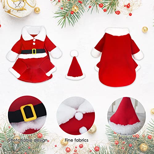 Ropa para Mascotas Santa, Perro Ropa Navidad, Ropa de Gato de Navidad, Ropa para Mascotas de Navidad, Lindo Santa Claus Ropa de Fiesta, Traje de Perro Santa (S)