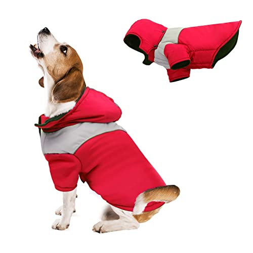 Ropa para Perros, Ropa para Perros pequeños, Ropa para Mascotas, Perros, Gatos, Abrigo de algodón para Perros, Chaleco de algodón, Abrigo cálido, Abrigo con Capucha (Small, Rojo)