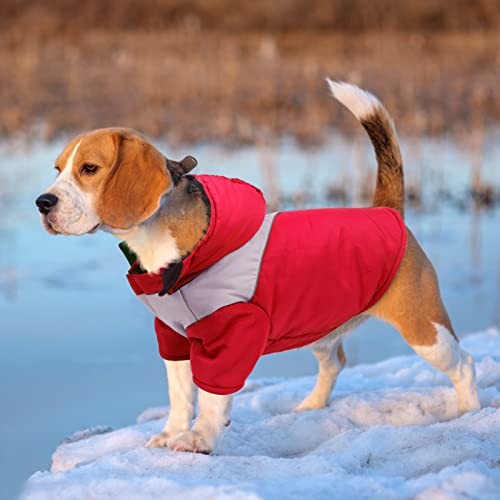 Ropa para Perros, Ropa para Perros pequeños, Ropa para Mascotas, Perros, Gatos, Abrigo de algodón para Perros, Chaleco de algodón, Abrigo cálido, Abrigo con Capucha (Small, Rojo)