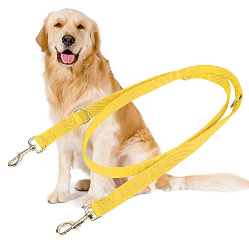 ROSEBEAR Correa para Perros Correa para Caminar con Doble Hebilla Correa de Nailon para Entrenamiento de Mascotas Duradera para Cachorros Enseñanza para Acampar 2 M