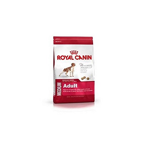 ROYAL CANIN Adulto mediano 4kg