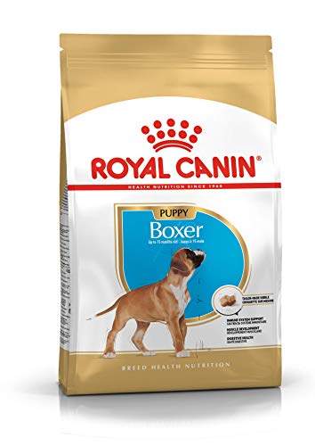 Royal Canin C-08932 S.H. Nut Boxer Junior - 3 Kg