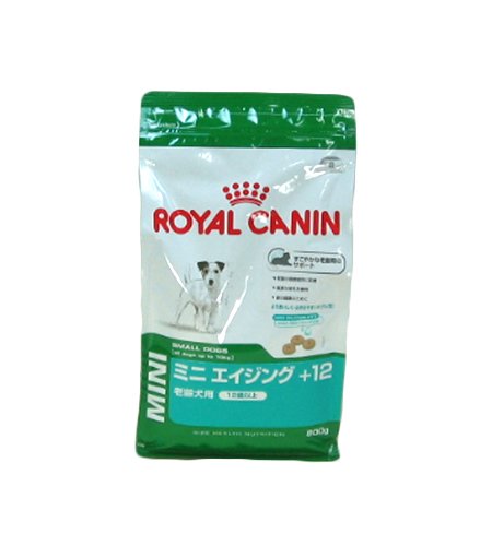 ROYAL CANIN MINI AGEING +12 GR. 800