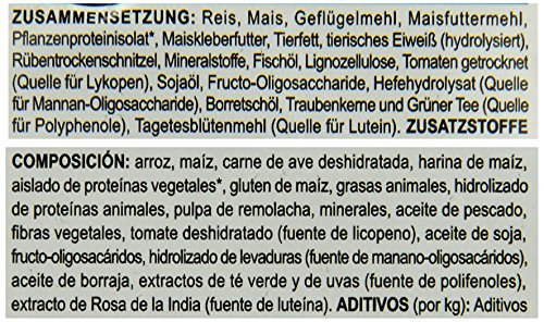 ROYAL CANIN MINI AGEING +12 GR. 800