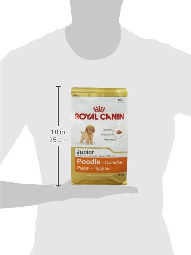 ROYAL CANIN Pudel Junior 500g