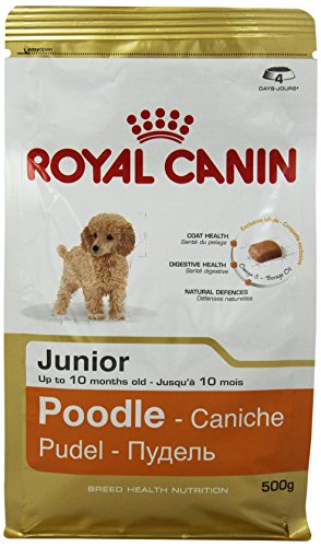 ROYAL CANIN Pudel Junior 500g