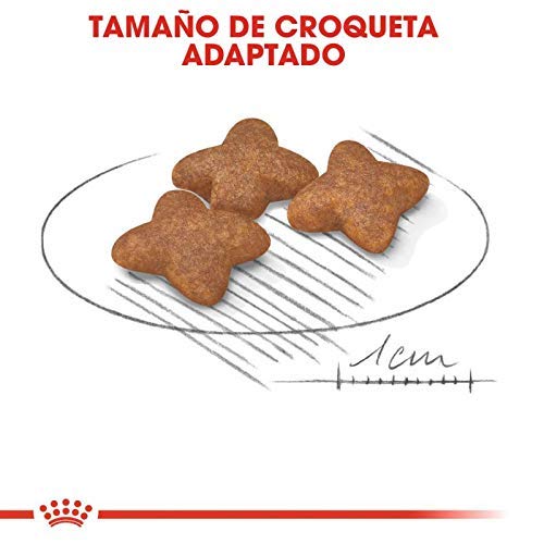 RoyalCanin Mini Adult 2kg. Comida para Perros de Razas Pequeñas y Toys | Pienso Gastrointestinal con Gran Sabor Que Controla el Peso, Elimina el Sarro Dental y Mantiene el Pelo y la Piel Saludables