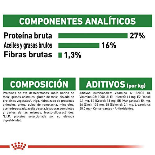 RoyalCanin Mini Adult 2kg. Comida para Perros de Razas Pequeñas y Toys | Pienso Gastrointestinal con Gran Sabor Que Controla el Peso, Elimina el Sarro Dental y Mantiene el Pelo y la Piel Saludables