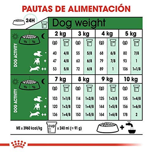 RoyalCanin Mini Adult 2kg. Comida para Perros de Razas Pequeñas y Toys | Pienso Gastrointestinal con Gran Sabor Que Controla el Peso, Elimina el Sarro Dental y Mantiene el Pelo y la Piel Saludables