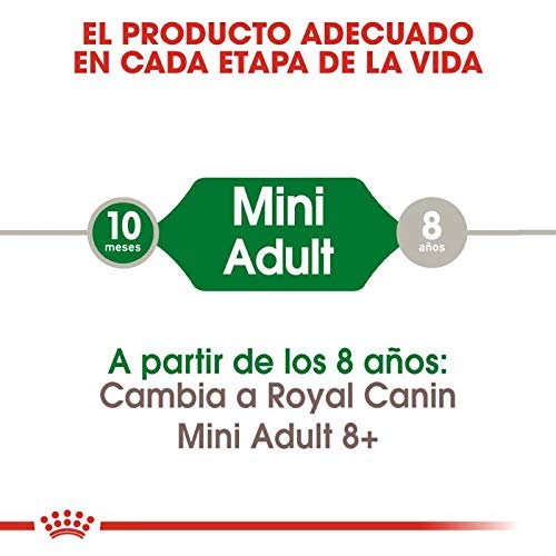 RoyalCanin Mini Adult 2kg. Comida para Perros de Razas Pequeñas y Toys | Pienso Gastrointestinal con Gran Sabor Que Controla el Peso, Elimina el Sarro Dental y Mantiene el Pelo y la Piel Saludables