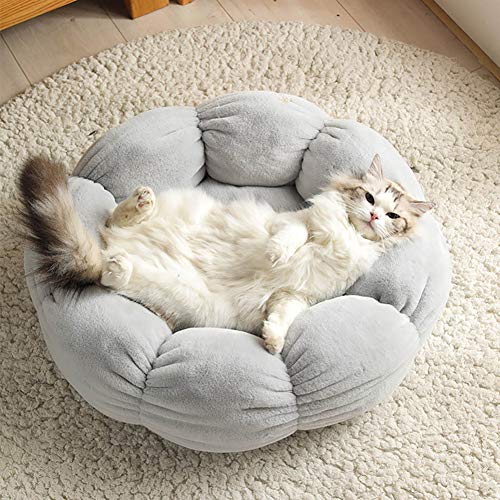 Ruankenshop Cueva Gato Caseta Perro Interior Suave Cama del Perro Portátil Cama de Perro De Lujo Cama del Perro Perro Camas Esponjoso Gato Cama Perro sofá Cama 40,Grey